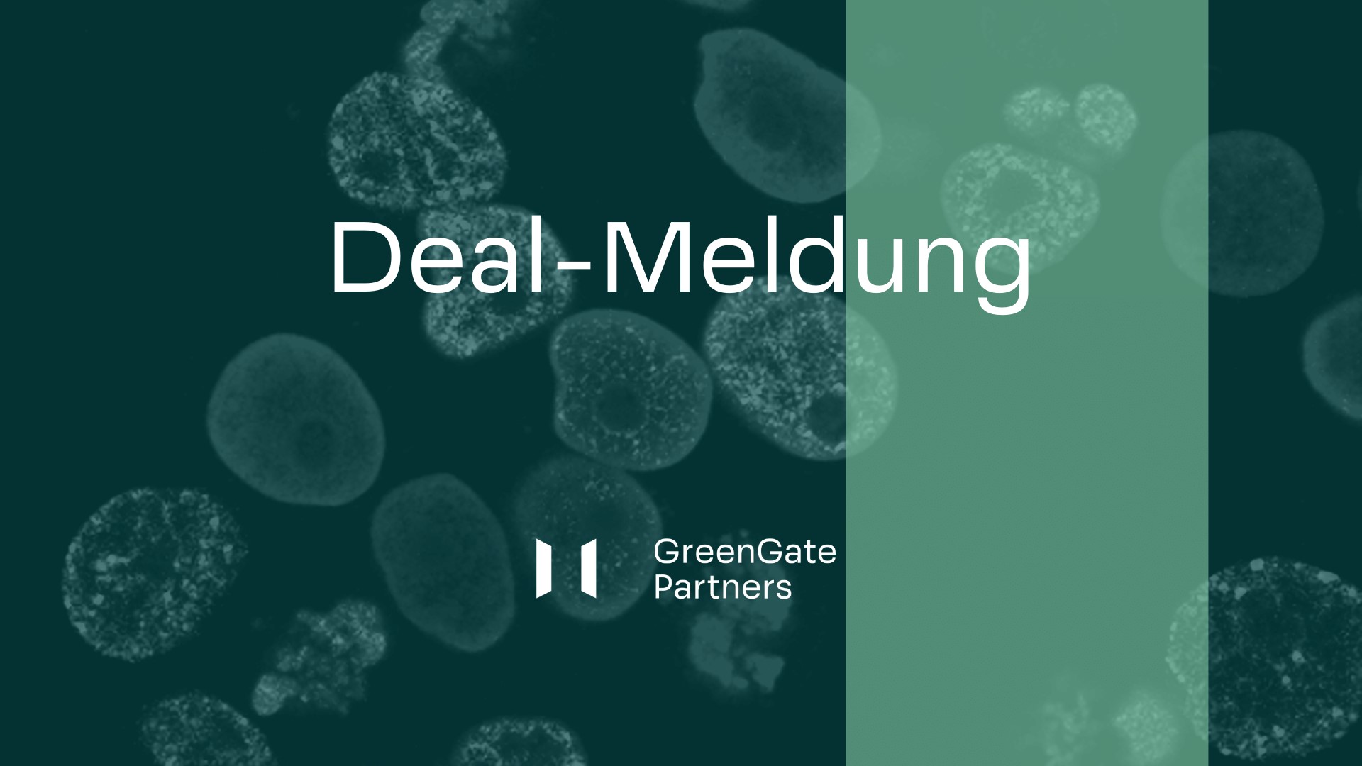 Deal News - GreenGate Partners advises BayWa Venture GmbH
